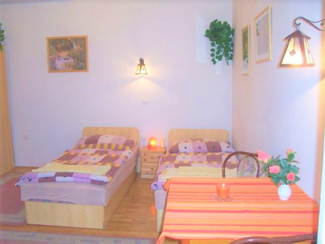 Apartement-hotel_w_Budapeszcie_Szk9/2_Pokoje_go�cinne_z_osobn�_�azienk�